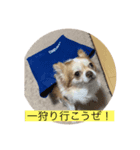 こはるちゃんとジャムちゃん（個別スタンプ：1）