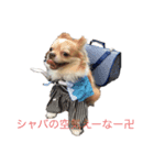 こはるちゃんとジャムちゃん（個別スタンプ：5）