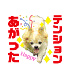 ♪関戸のとある家族♫（個別スタンプ：3）