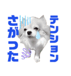 ♪関戸のとある家族♫（個別スタンプ：4）