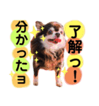 ♪関戸のとある家族♫（個別スタンプ：5）