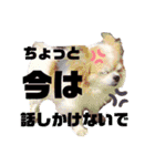 ♪関戸のとある家族♫（個別スタンプ：17）