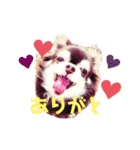 ♪関戸のとある家族♫（個別スタンプ：23）