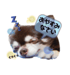 ♪関戸のとある家族♫（個別スタンプ：24）