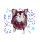 ♪関戸のとある家族♫（個別スタンプ：28）