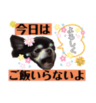 ♪関戸のとある家族♫（個別スタンプ：31）
