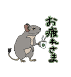 ねぎらいデグー（個別スタンプ：2）