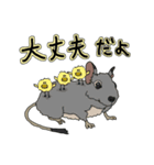 ねぎらいデグー（個別スタンプ：3）