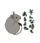 ねぎらいデグー（個別スタンプ：4）