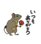 ねぎらいデグー（個別スタンプ：6）