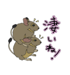ねぎらいデグー（個別スタンプ：8）