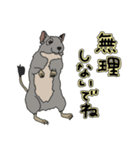 ねぎらいデグー（個別スタンプ：9）