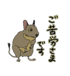 ねぎらいデグー（個別スタンプ：11）