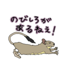 ねぎらいデグー（個別スタンプ：12）