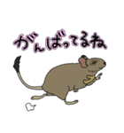 ねぎらいデグー（個別スタンプ：13）