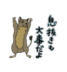ねぎらいデグー（個別スタンプ：14）