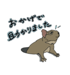 ねぎらいデグー（個別スタンプ：15）