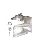 サスケSASUKE stomp（個別スタンプ：7）