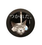 ももとすも（個別スタンプ：6）