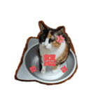 かりまろん②（個別スタンプ：2）