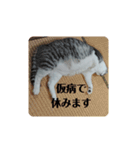 かりまろん②（個別スタンプ：5）