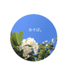 まるにひとこと。（個別スタンプ：5）