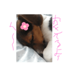 犬桜のスタンプ（個別スタンプ：2）