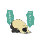 うちの子が可愛い（うさぎ）（個別スタンプ：3）