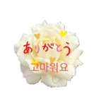 フラワーあいさつ韓国語（個別スタンプ：1）
