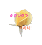 フラワーあいさつ韓国語（個別スタンプ：3）