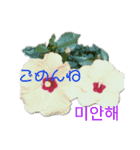 フラワーあいさつ韓国語（個別スタンプ：4）