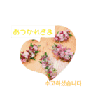 フラワーあいさつ韓国語（個別スタンプ：6）