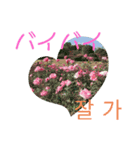 フラワーあいさつ韓国語（個別スタンプ：7）