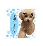 ももちゃんなっちゃん（個別スタンプ：5）