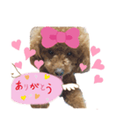 ももちゃんなっちゃん（個別スタンプ：8）