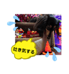 ダックス  あんじゅ ★病気★（個別スタンプ：13）