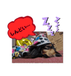 ダックス  あんじゅ ★病気★（個別スタンプ：17）
