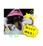 ダックス  あんじゅ ★病気★（個別スタンプ：18）