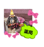 ダックス  あんじゅ ★病気★（個別スタンプ：28）