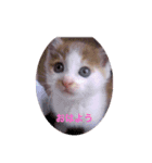 keiちゃんず（個別スタンプ：1）