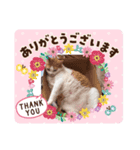 keiちゃんず（個別スタンプ：8）