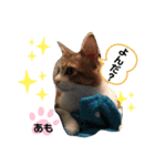 ♡あもちゃん③（個別スタンプ：2）