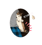 ♡あもちゃん③（個別スタンプ：6）