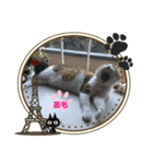 ♡あもちゃん③（個別スタンプ：7）