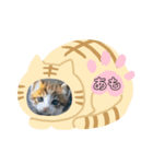 ♡あもちゃん③（個別スタンプ：8）