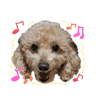 殿若9（個別スタンプ：2）