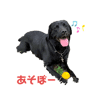 白川ファミリー❤（個別スタンプ：12）