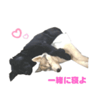 白川ファミリー❤（個別スタンプ：14）