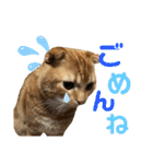 スコちゃんとらまるスタンプ（個別スタンプ：20）