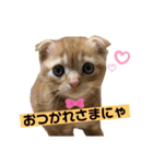 スコちゃんとらまるスタンプ（個別スタンプ：34）